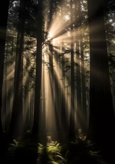 Imagen PNG para descargar